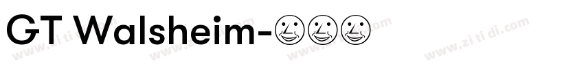 GT Walsheim字体转换